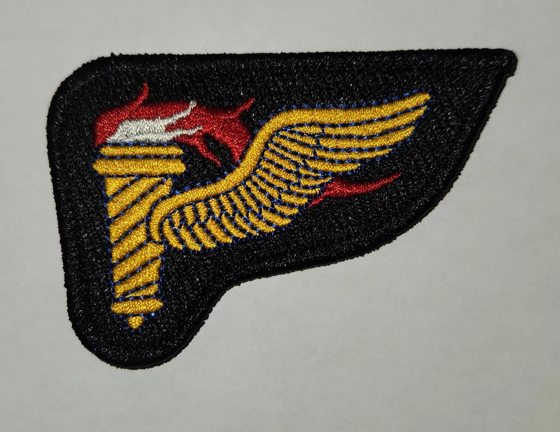 Pathfinder Qualification Badge. Color - Image 1