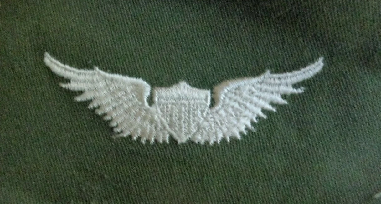 Army Aviator Qual Badge, Basic. Color - Image 1