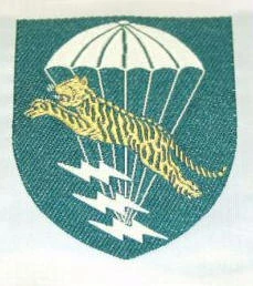 Vietnamese (RVN) Special Forces (LLDB) Division. Woven. - Image 1