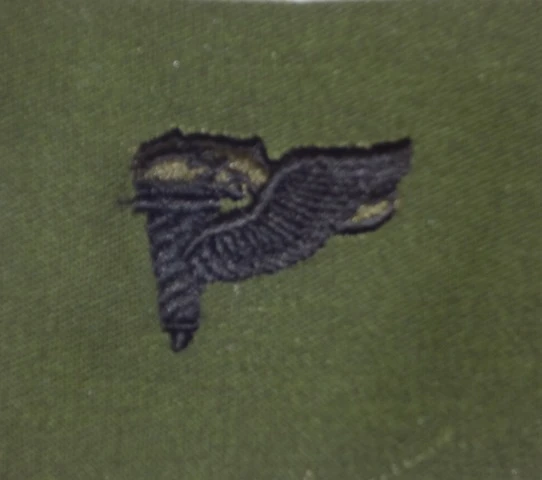 Pathfinder Qualification Badge. Subdued. - Image 1