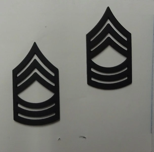 Master Sergeant (MSG) Pin-On Subd - Image 1