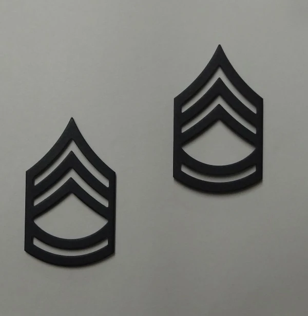 Sergeant 1st Class (SFC) Pin-On Subd - Image 1