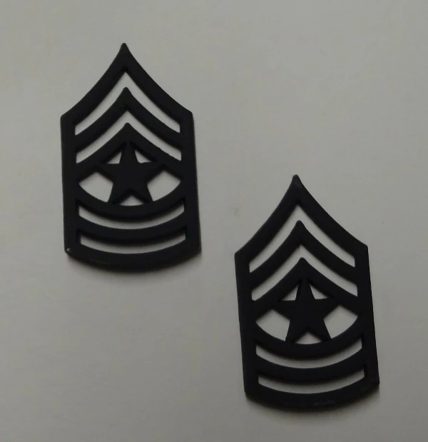 Sergeant Major (SGM) Pin-On Subd - Image 1