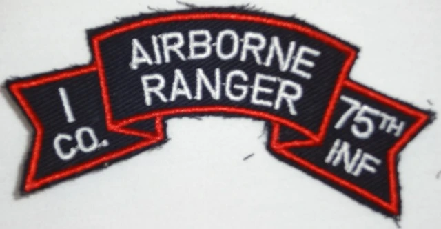 I Company (1st. Infantry Division), Color - Image 1