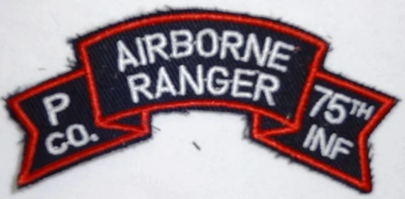 P Company (5th. Infantry Division - Mechanized), Color - Image 1