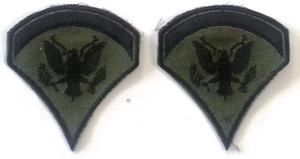 Specialist 5th Class (SP5) Subd. Sleeve Set - Image 1