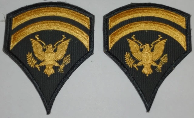 Specialist 6th Class (SP6) Color Sleeve Set - Image 1