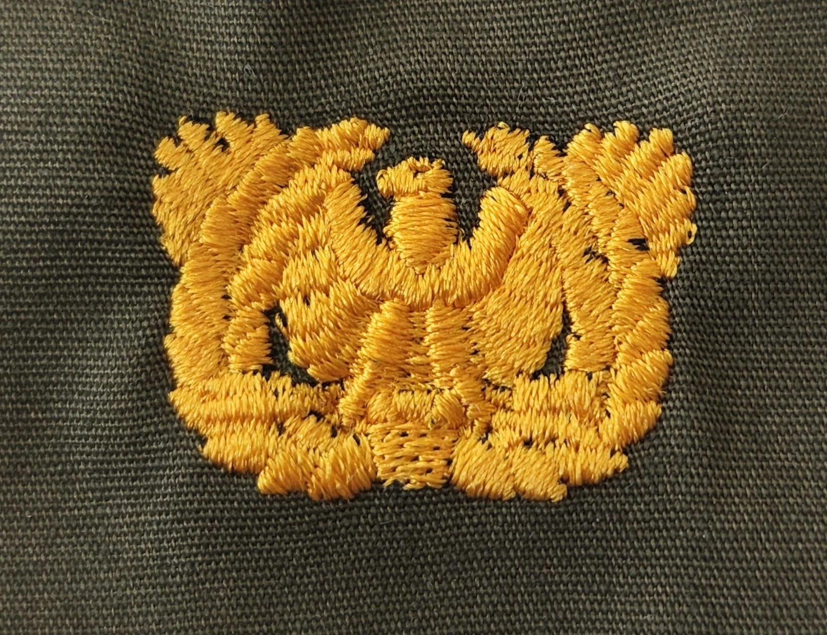 Warrant Officer Branch of Service, Sew-On Color - Image 1