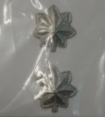Lt. Colonel, Pin-On Bright