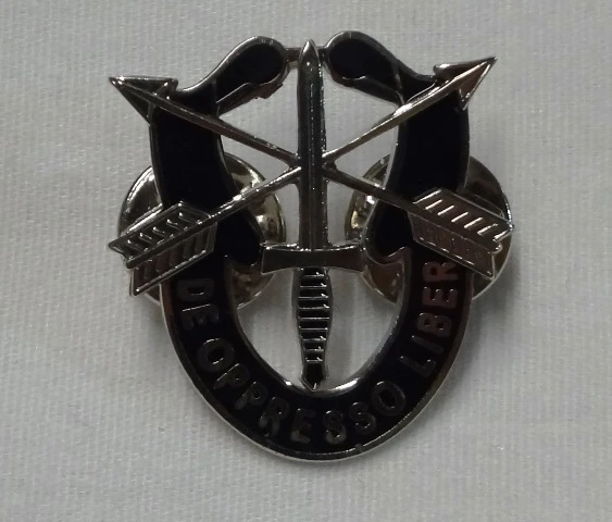 Special Forces Crest Pin