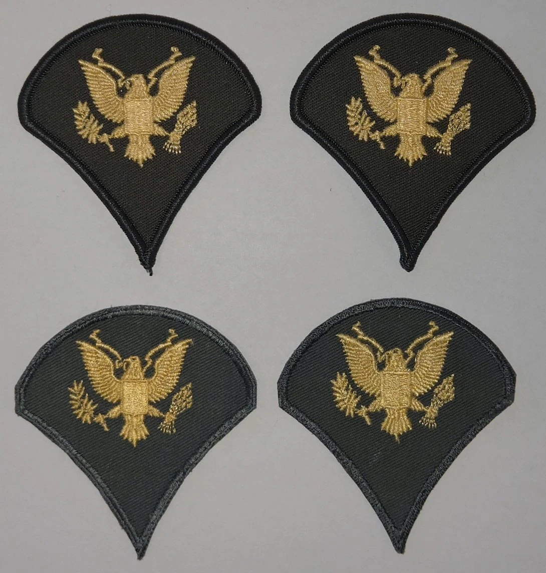 Specialist 4th Class (SP4) Color Sleeve Set