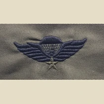 Vietnamese (RVN) Parachutist Qualification Badge. Embroidered, Subd.