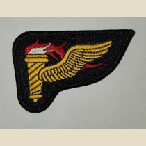 Pathfinder Qualification Badge. Color