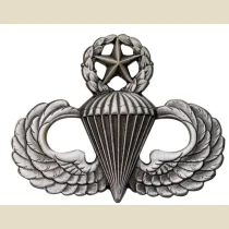 Parachutist Qualification Master. Pin-On Metal.