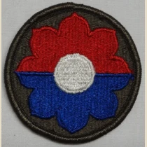 9th. Infantry Division, Color