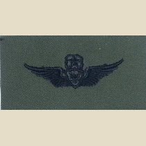 Army Aircraft Crewman Badge, Master. Subdued