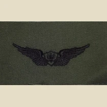 Army Aircraft Crewman Badge, Basic. Subdued.