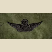 Army Aviator Qual Badge, Master. Subdued.