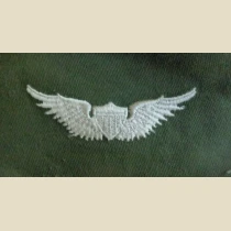 Army Aviator Qual Badge, Basic. Color
