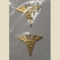 Medical Branch of Service, Pin-On Bright