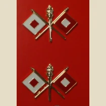 Signal Corps Branch of Service, Pin-On Bright
