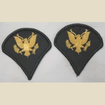 Specialist 4th Class (SP4) Color Sleeve Set