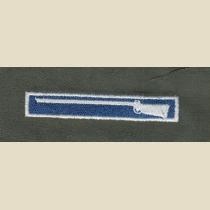 Expert Infantryman's Badge, EIB, Color