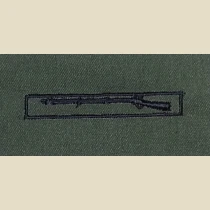Expert Infantryman's Badge, EIB, Subdued