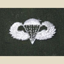 Parachutist Qualification Badge, Basic. Color.