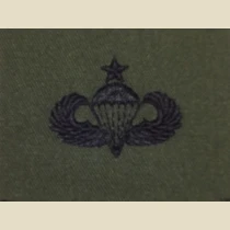 Parachutist Qualification Badge, Senior. Subdued.
