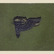 Pathfinder Qualification Badge. Subdued.