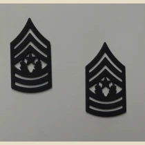 Command Sergeant Major (CSM) Pin-On Subd.