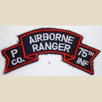 P Company (5th. Infantry Division - Mechanized), Color