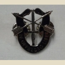 Special Forces Crest Pin