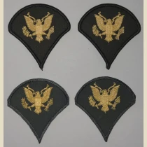 Specialist 4th Class (SP4) Color Sleeve Set