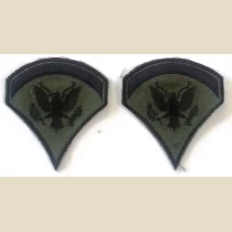 Specialist 5th Class (SP5) Subd. Sleeve Set