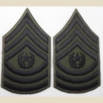 Command Sergeant Major (CSM) Subd. Sleeve Set