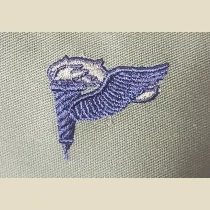 Pathfinder Qualification Badge. USAF, Subd