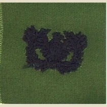 Warrant Officer Branch of Service, Sew-On Subd.