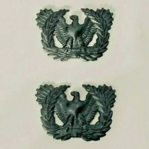 Warrant Officer Branch of Service, Pin-On Subd.