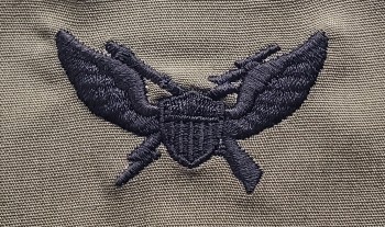 Air Assault Badge, 1st Pattern, Subd