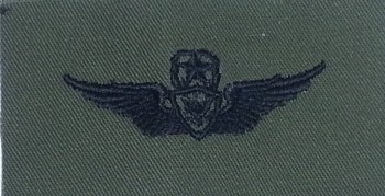 Army Aircraft Crewman Badge, Master. Subdued