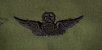 Army Aviator Qual Badge, Master. Subdued.