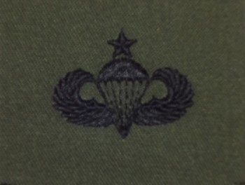 Parachutist Qualification Badge, Senior. Subdued.