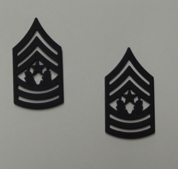 Command Sergeant Major, Pin-On Subd.