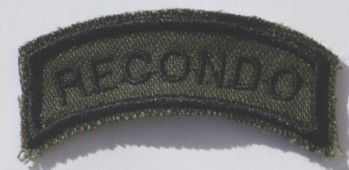 Recondo Tab, Twill, Subd.