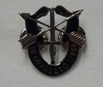 Special Forces Crest Pin