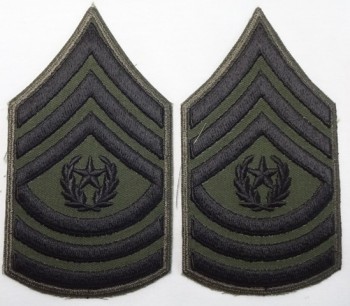 Command Sergeant Major (CSM) Subd. Sleeve Set