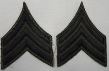 Sergeant (SGT) Subd. Sleeve Set 