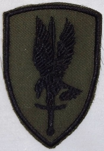 1st Aviation Brigade, Subd. Twill